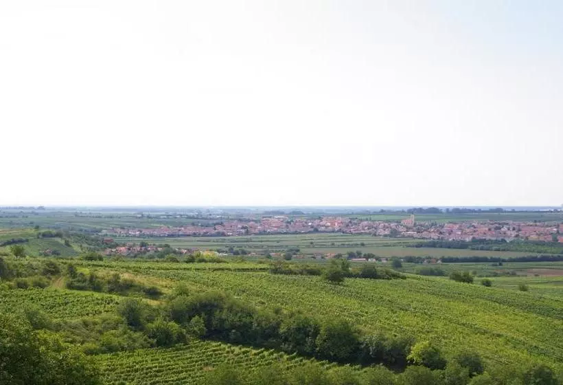 Majatalo Vinařský Penzion Přední Hora