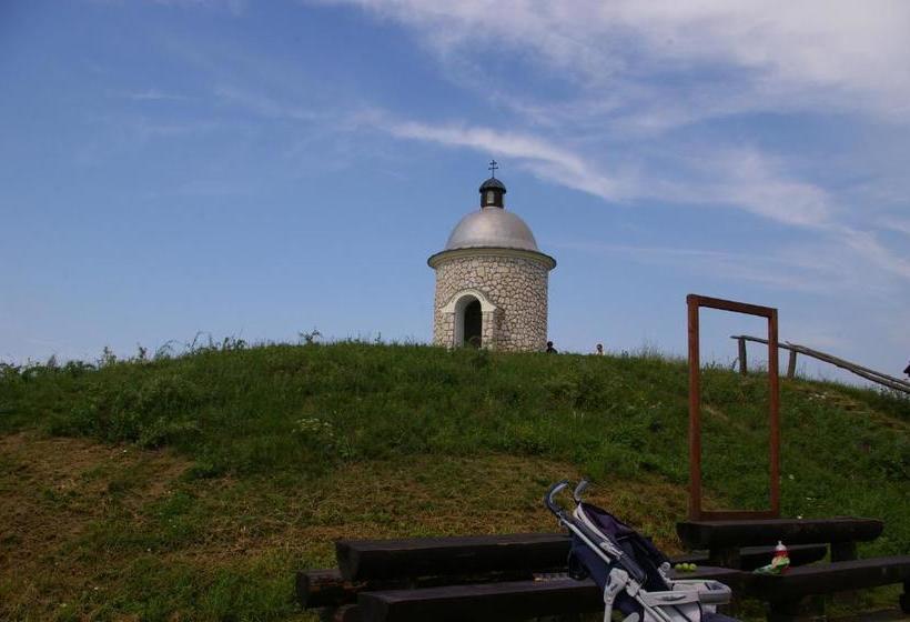 פנסיון Vinařský Penzion Přední Hora