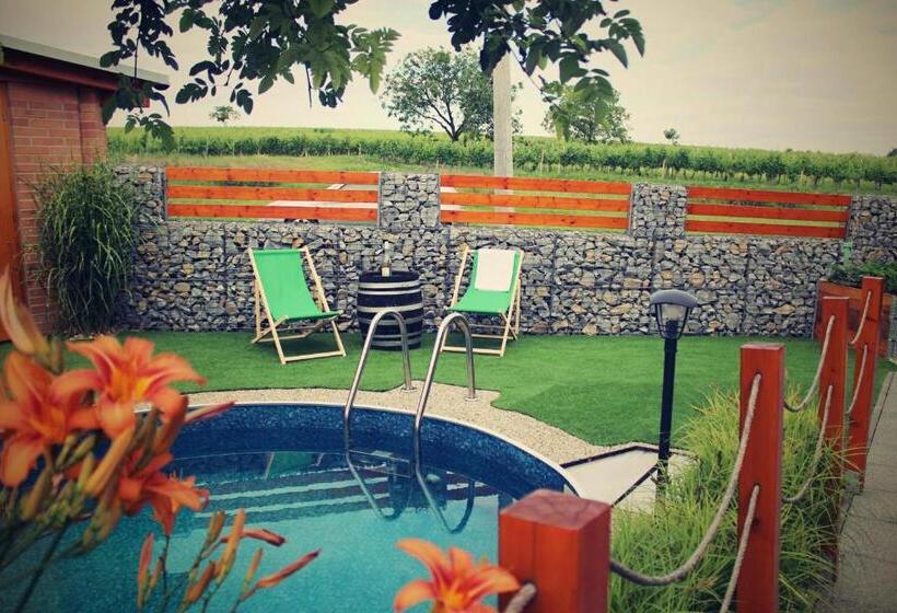 פנסיון Vinařský Penzion Přední Hora