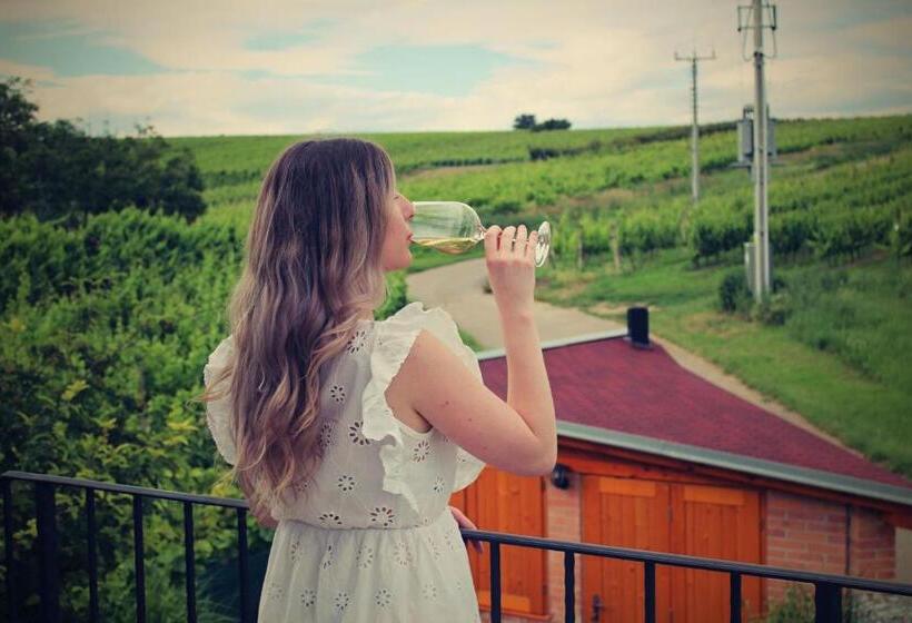 פנסיון Vinařský Penzion Přední Hora