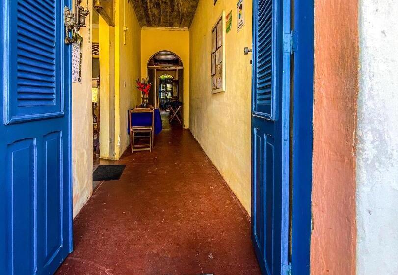 بنسيون Casarão Dos Uchoa