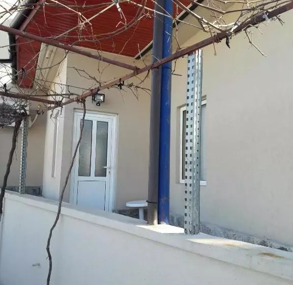 پانسیون Guest House Tedi