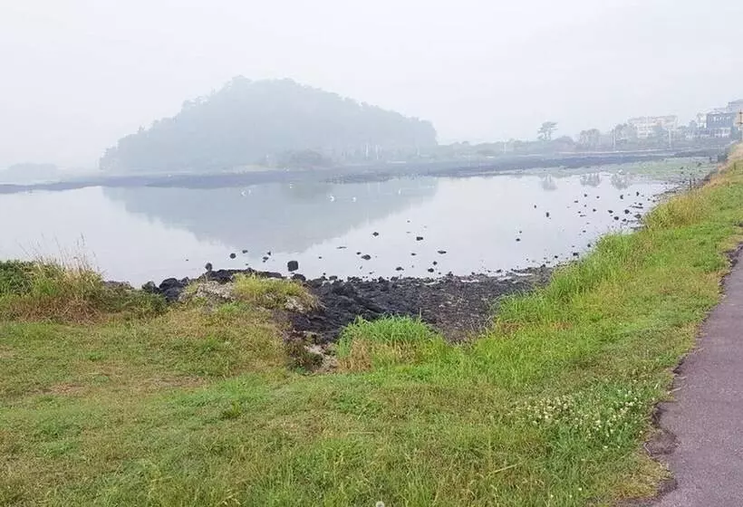 ペンション Jeju Sunflower Guest House