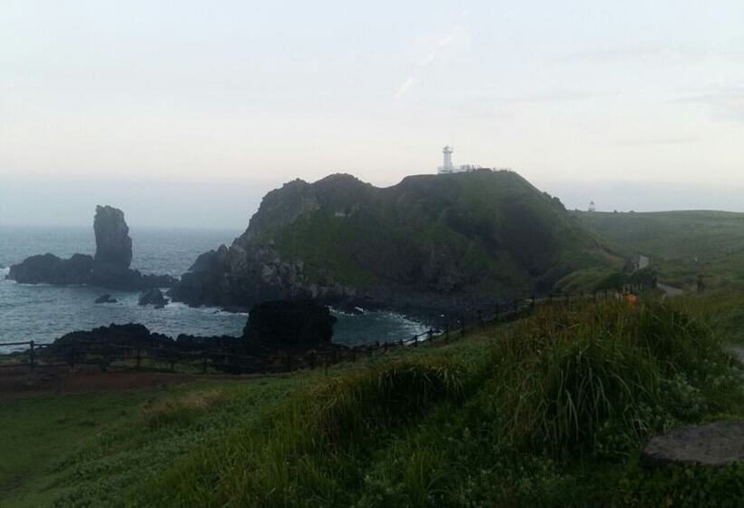 Pension (Hôtel basse catégorie) Jeju Sunflower Guest House