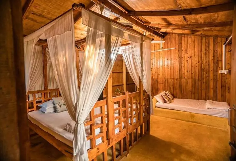 Retkeilymaja Jamboree Creek Yoga