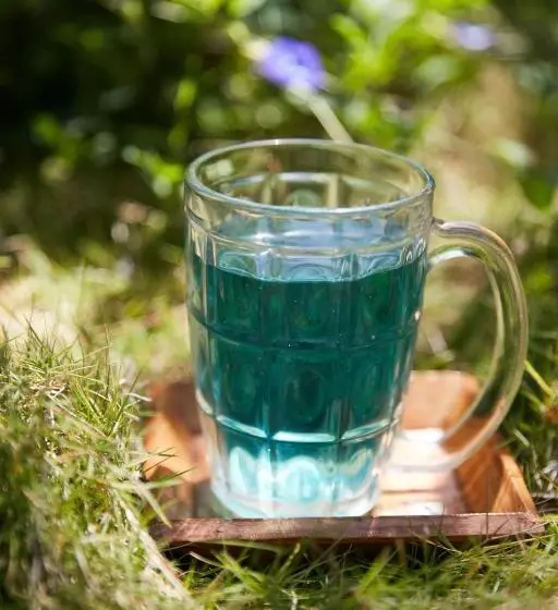 Retkeilymaja Jamboree Creek Yoga