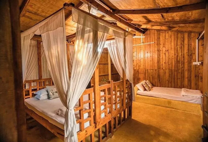 Retkeilymaja Jamboree Creek Yoga