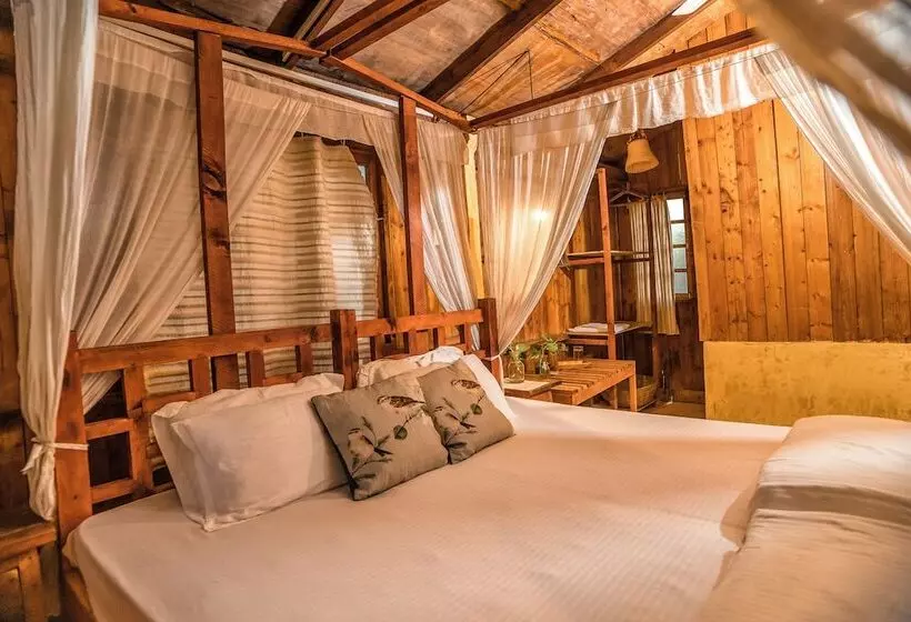 Retkeilymaja Jamboree Creek Yoga