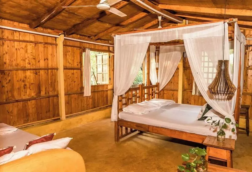 Retkeilymaja Jamboree Creek Yoga