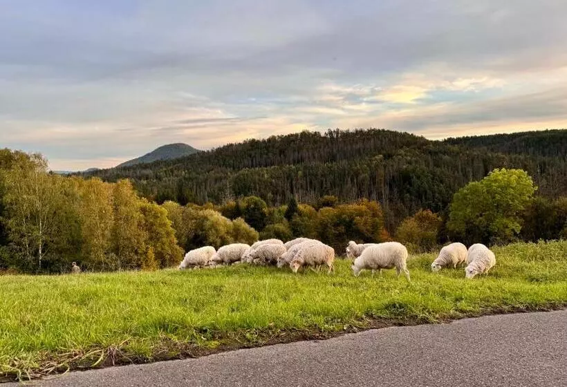 ペンション Resort Mezná