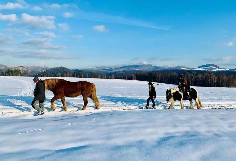 ペンション Resort Mezná