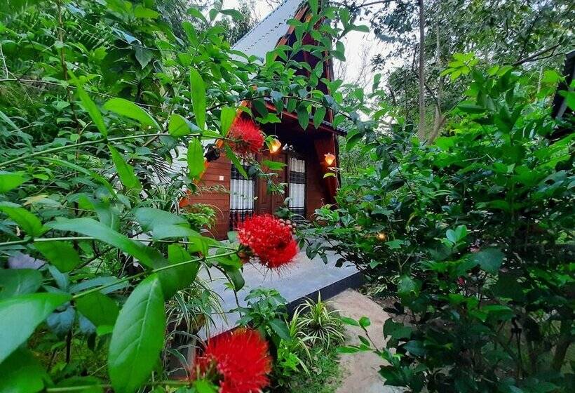 بنسيون The Otunna Guest House Sigiriya