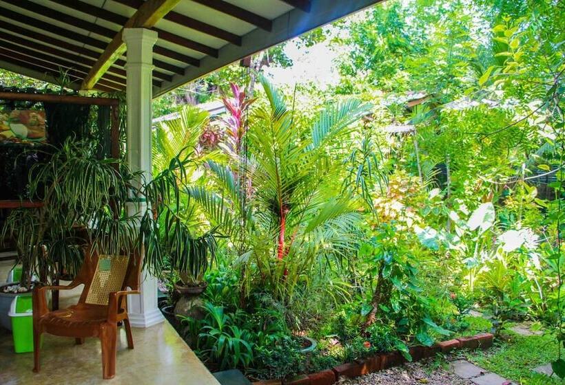 بنسيون The Otunna Guest House Sigiriya