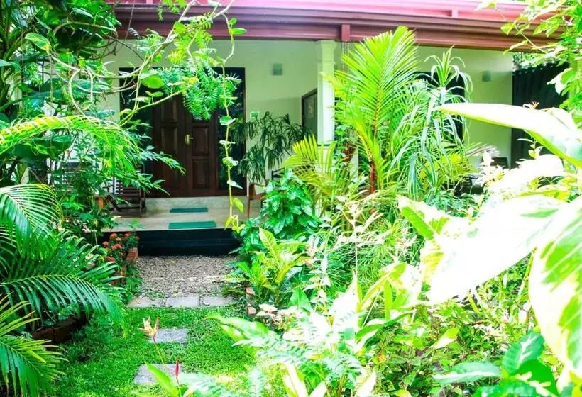 پانسیون The Otunna Guest House Sigiriya
