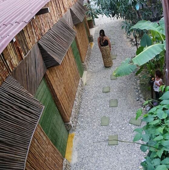 پانسیون Tribe