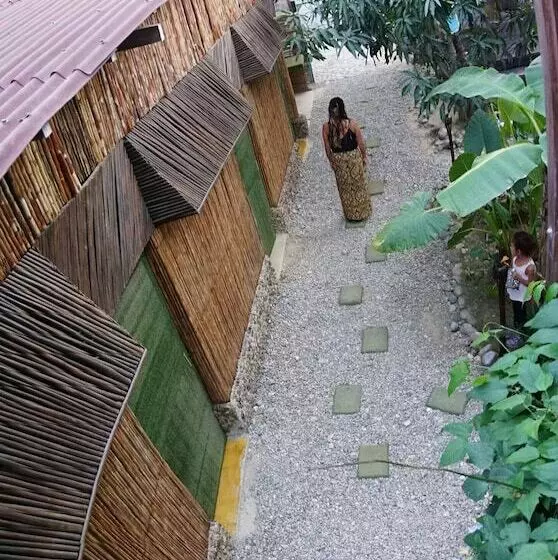 پانسیون Tribe