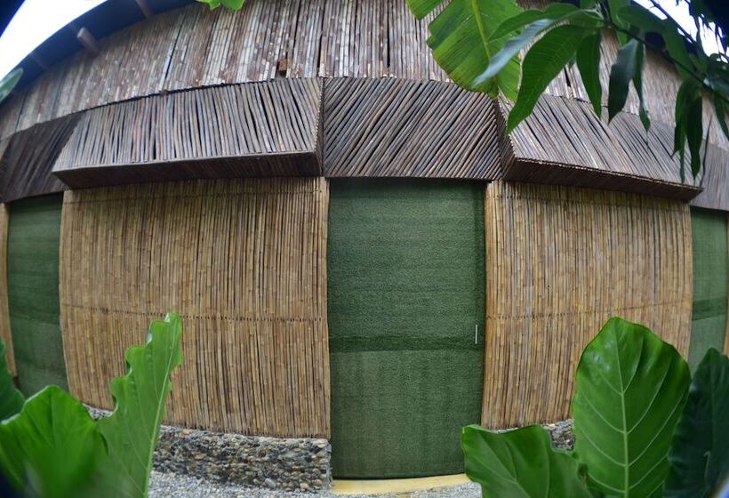 پانسیون Tribe