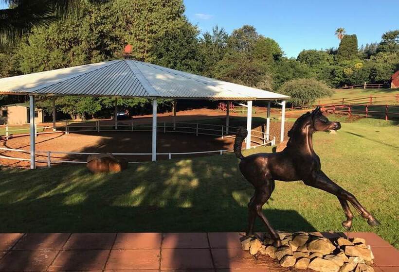 בית מלון כפרי Silver Mist Resort, Haenertsburg