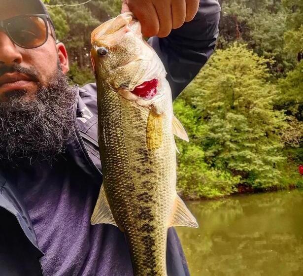 בית מלון כפרי Silver Mist Resort, Haenertsburg