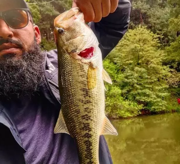 Hotelli Silver Mist Resort, Haenertsburg