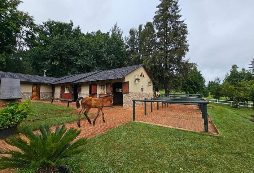 בית מלון כפרי Silver Mist Resort, Haenertsburg