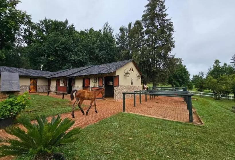 Hotelli Silver Mist Resort, Haenertsburg