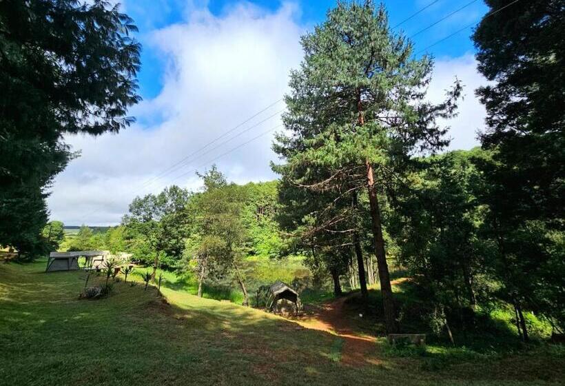 בית מלון כפרי Silver Mist Resort, Haenertsburg