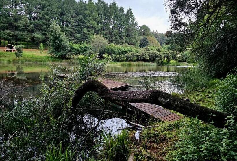 בית מלון כפרי Silver Mist Resort, Haenertsburg