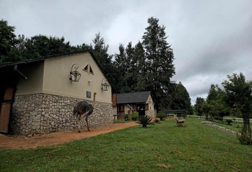 בית מלון כפרי Silver Mist Resort, Haenertsburg