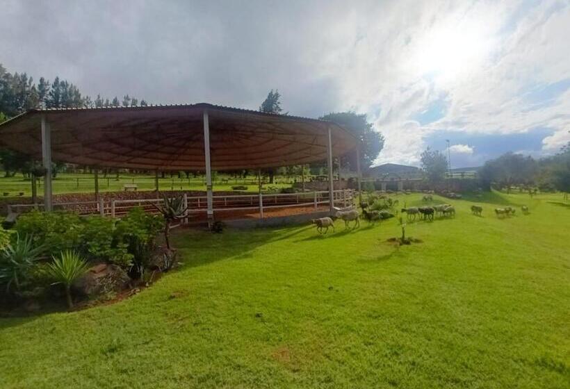 בית מלון כפרי Silver Mist Resort, Haenertsburg