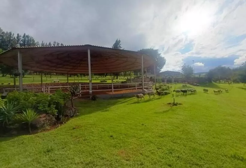 Hotelli Silver Mist Resort, Haenertsburg