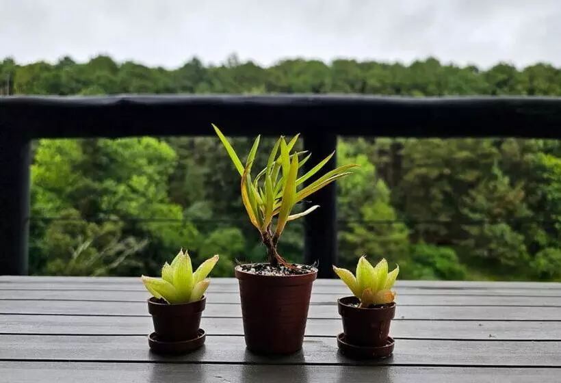 Hotelli Silver Mist Resort, Haenertsburg