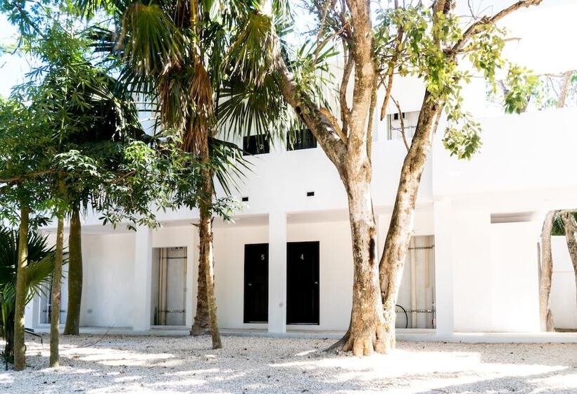 Pensjonat Casa Tortuga Tulum Cenotes Park Inclusive