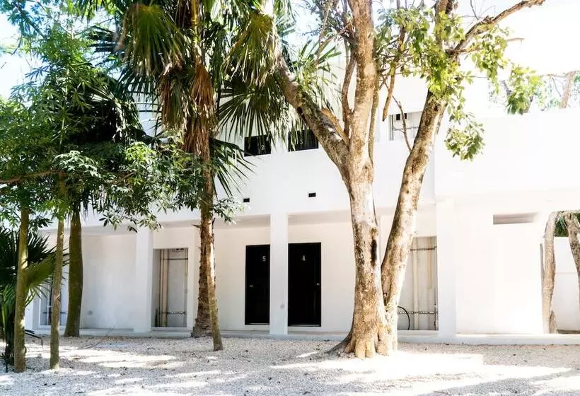 پانسیون Casa Tortuga Tulum Cenotes Park Inclusive