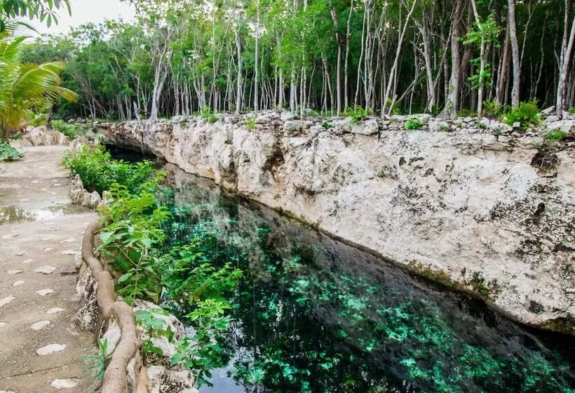 پانسیون Casa Tortuga Tulum Cenotes Park Inclusive