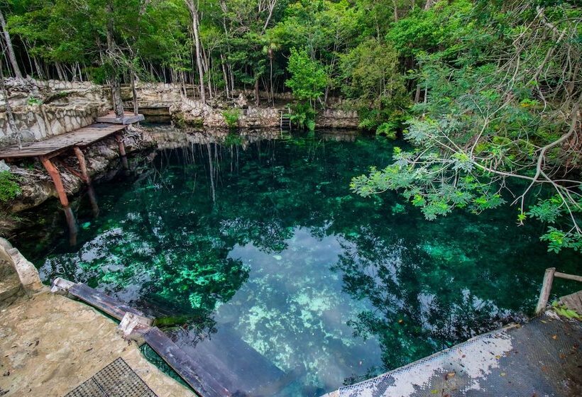 Pensjonat Casa Tortuga Tulum Cenotes Park Inclusive