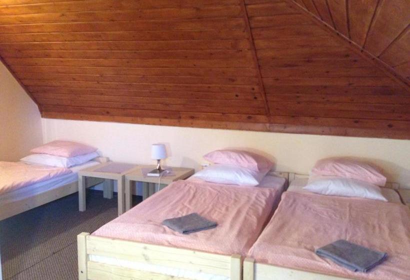 بنسيون Park Vendégház