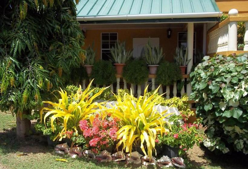 پانسیون Buccoo Reef View