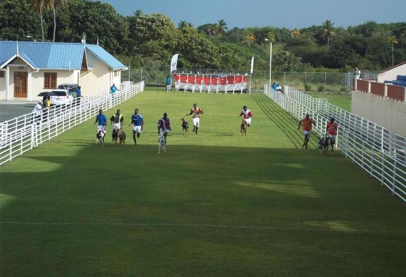 پانسیون Buccoo Reef View