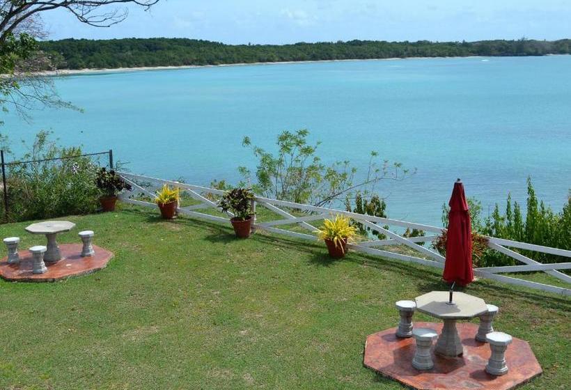 پانسیون Buccoo Reef View