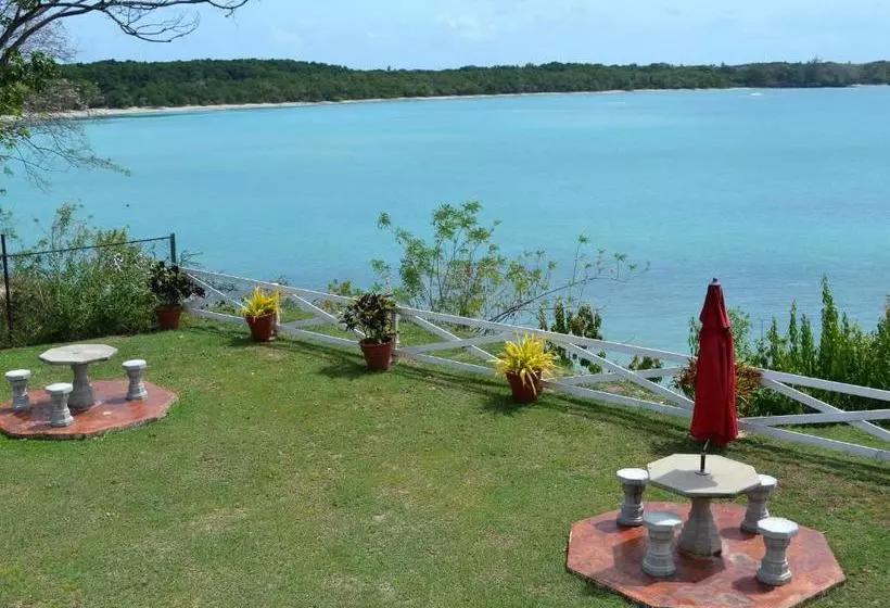 پانسیون Buccoo Reef View