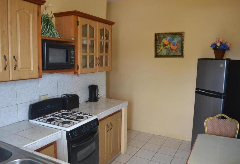 پانسیون Buccoo Reef View