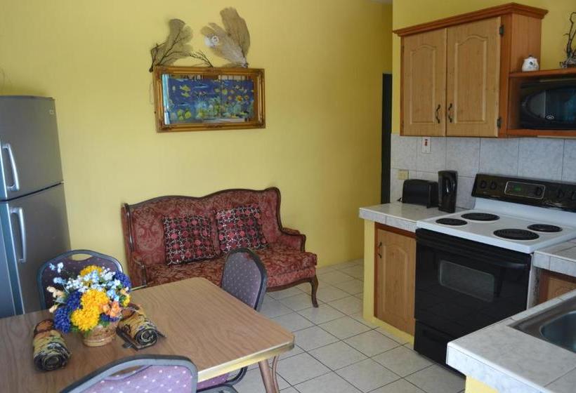 پانسیون Buccoo Reef View