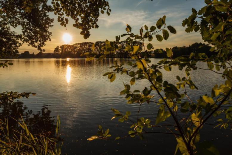 膳宿费 Riegrova Chata Kozákov