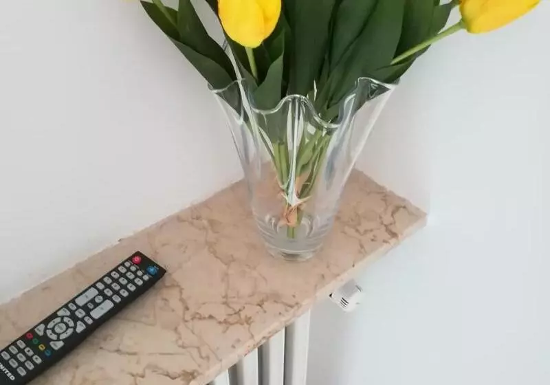 Majatalo Venice Vacation House