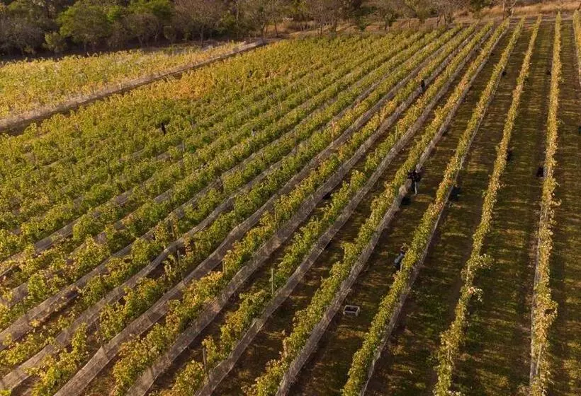 پانسیون Villa Triacca Eco Pousada E Vinhos