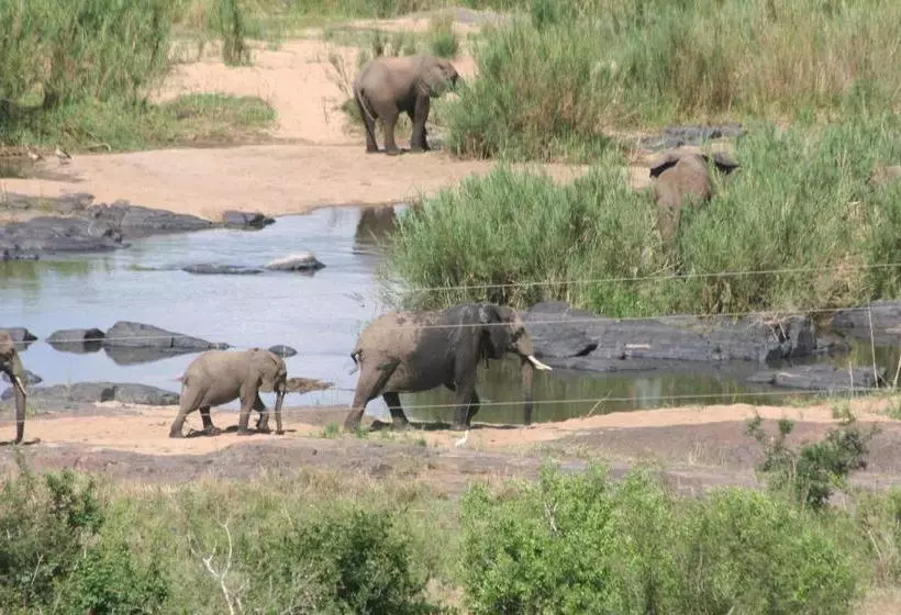 Majatalo Villacandilabra Guesthouse