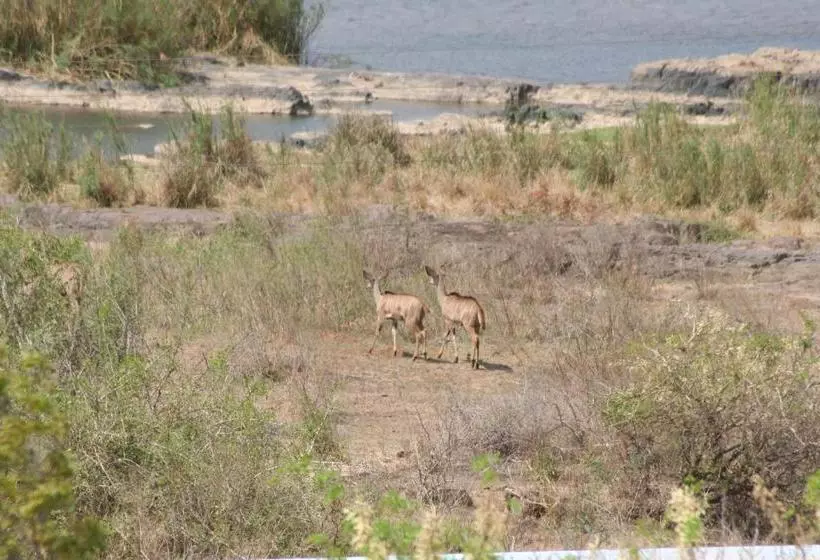 Majatalo Villacandilabra Guesthouse