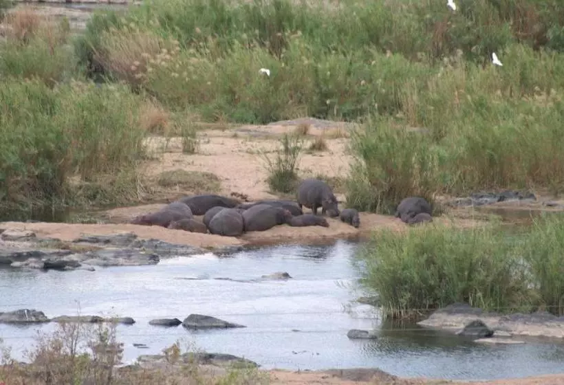 Majatalo Villacandilabra Guesthouse