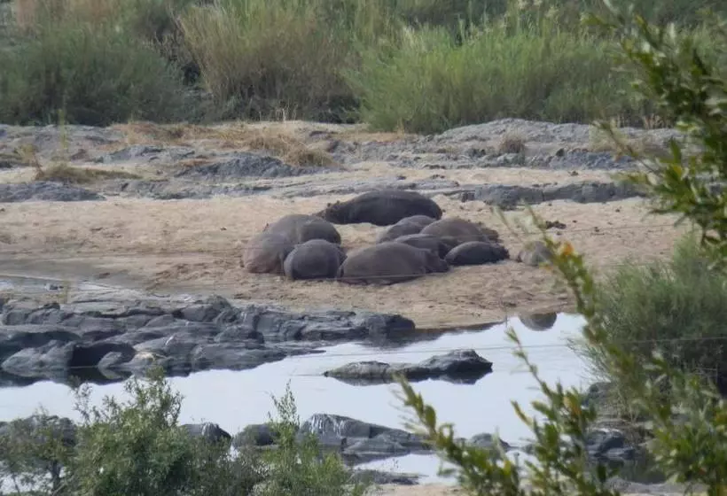 Majatalo Villacandilabra Guesthouse